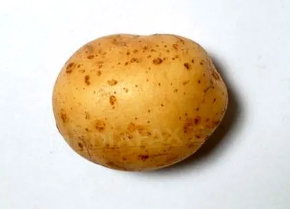 електричен компир