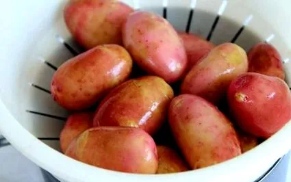 компир сало