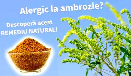 parlagfű pollen