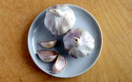 növények