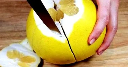 grapefruit