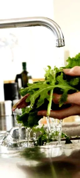 митови митови