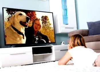 filmek Hachi kutya mese