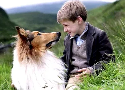 Hachi kutya filmek