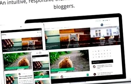 wordpress