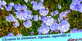 legendách