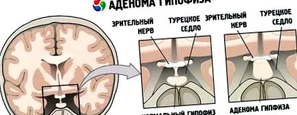 діагностика лікування