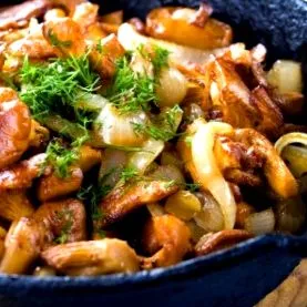 tulajdonságokkal