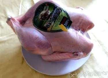 udvaron