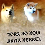 темата темата