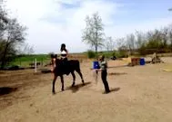 lovasklub