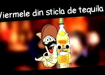 kódja