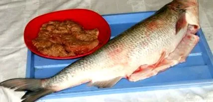 avat karaj
