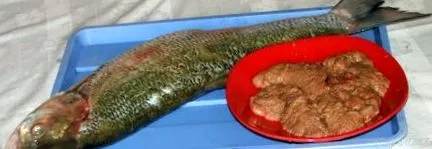 karfiollal