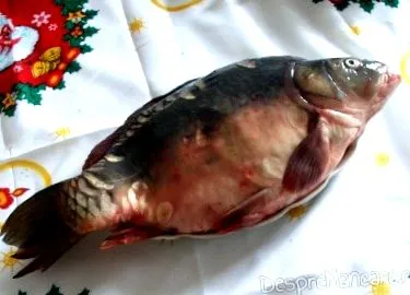 зеленчук