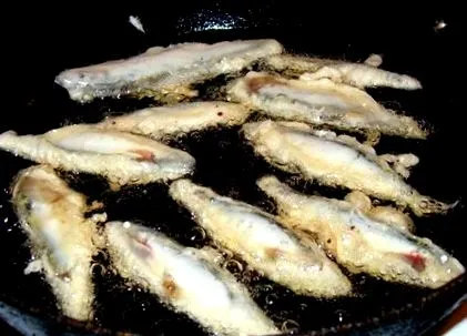 világ