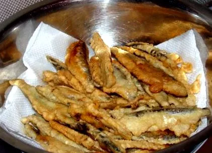 világ