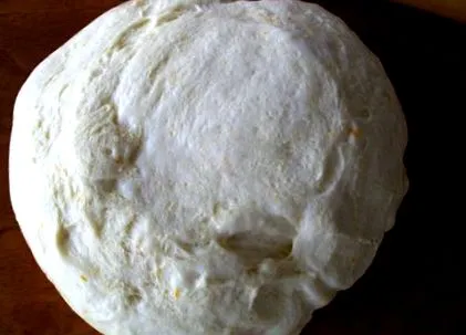 alebo