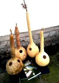 Kolozs megyei