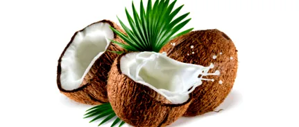 kókuszolaj kilostop