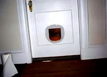 отстранат дамките