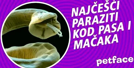 hogyan természetes