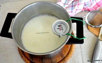 млеко домашно
