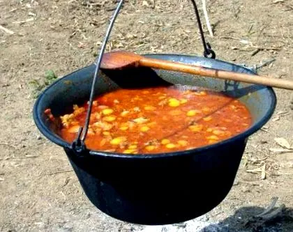 gulyás
