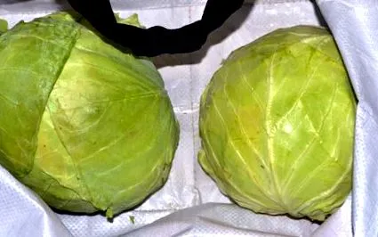 како зелка