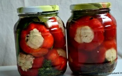 оцет понички