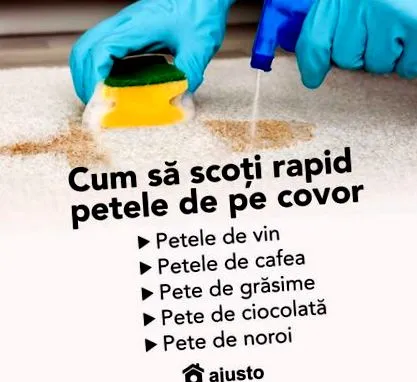 koberca