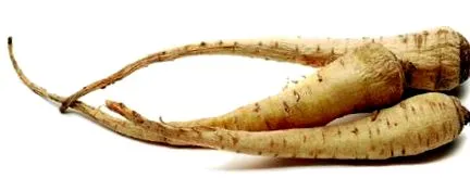 rastlín
