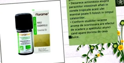 parazita parazita