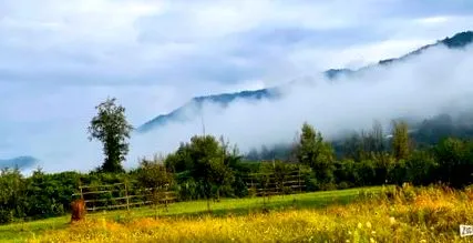 поглед релаксација