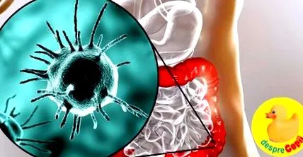 причината боли