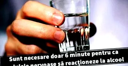 kapcsolatban