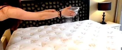 tippek