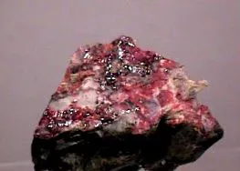 danaela danaela