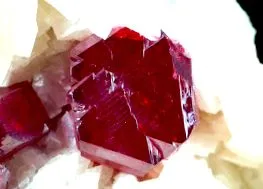 reiki danaela