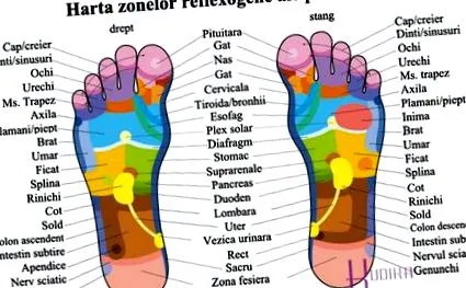 méregtelenítő