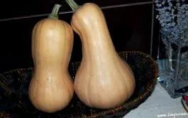 kalóriát tartalmaz