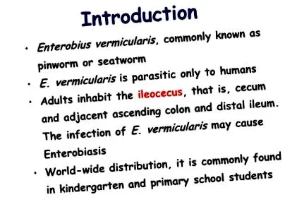 7-enterobius