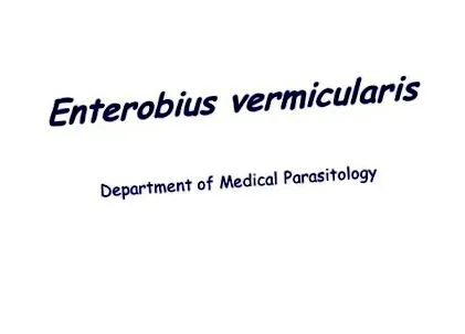 7-enterobius