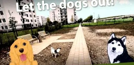 socializáciu šteniat
