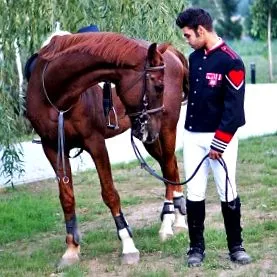 sport