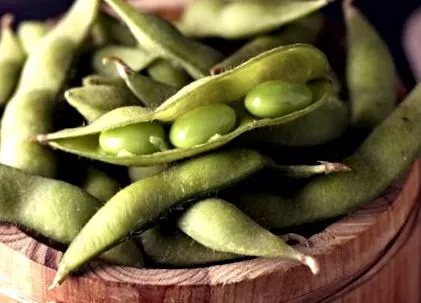 B9-vitamin edamame