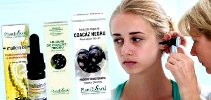 ушах