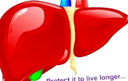 hepatitis vírus