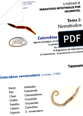 vermicularis enterobius