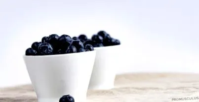centopani